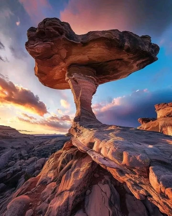 AnneAndrevegte's tweet photo. #ArtOfNature https://t.co/MPEx8Bvpd3