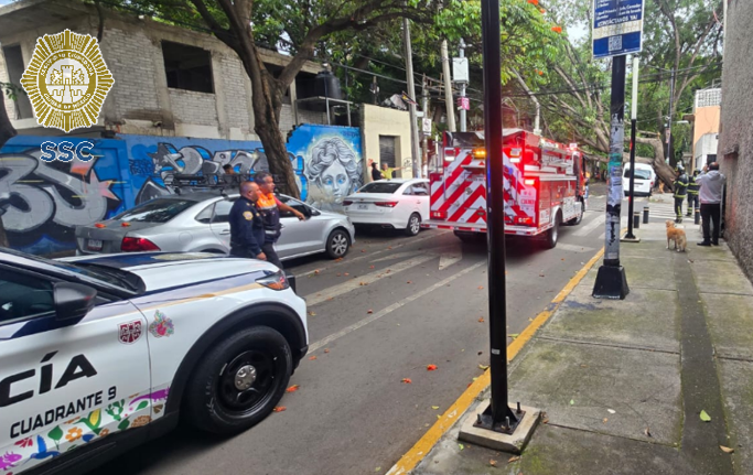 OVIALCDMX's tweet photo. 18:02 #PrecauciónVial | Servicios de emergencia laboran en Antonio Rodríguez y Centenario, col. San Simón Ticumac, @BJAlcaldia, para retirar árbol caído. Conduce con precaución. https://t.co/oQJU6AwZxd