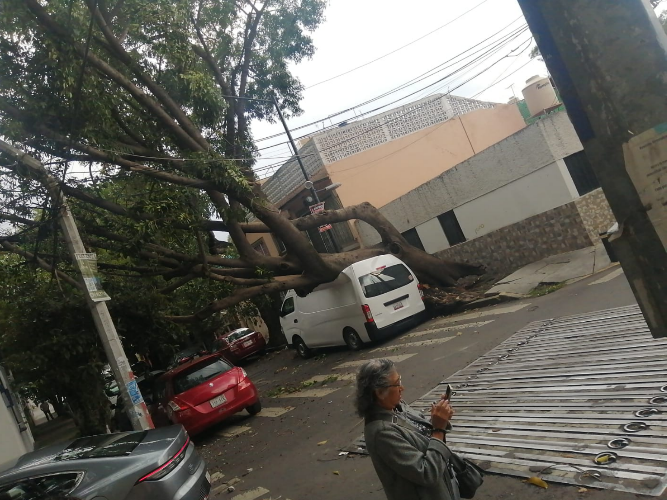 OVIALCDMX's tweet photo. 18:02 #PrecauciónVial | Servicios de emergencia laboran en Antonio Rodríguez y Centenario, col. San Simón Ticumac, @BJAlcaldia, para retirar árbol caído. Conduce con precaución. https://t.co/oQJU6AwZxd