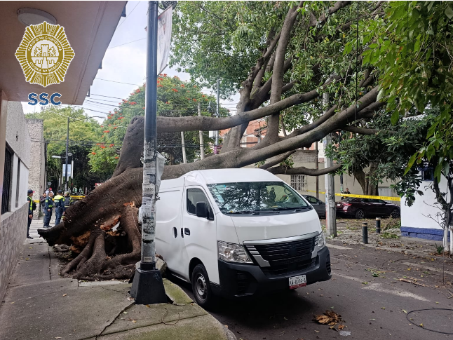 OVIALCDMX's tweet photo. 18:02 #PrecauciónVial | Servicios de emergencia laboran en Antonio Rodríguez y Centenario, col. San Simón Ticumac, @BJAlcaldia, para retirar árbol caído. Conduce con precaución. https://t.co/oQJU6AwZxd
