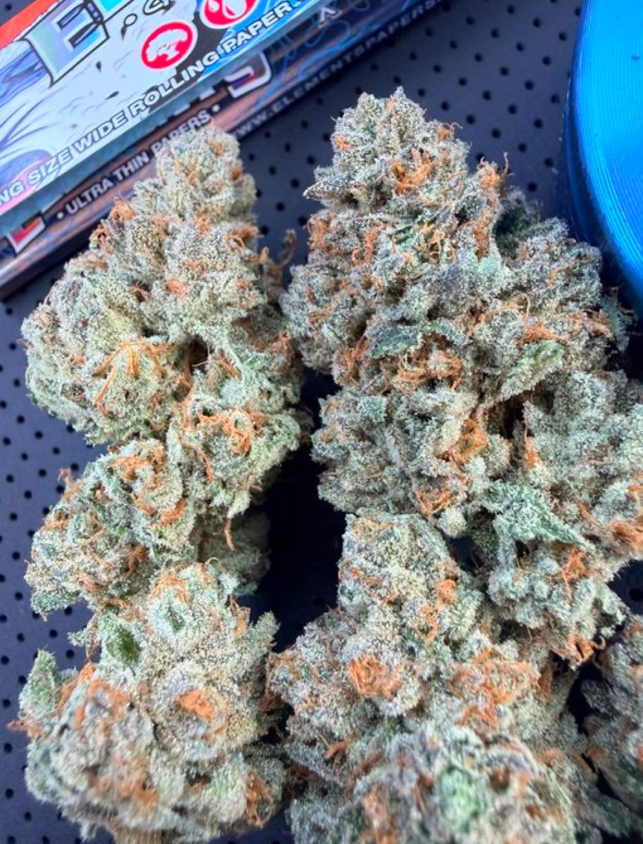 metro_plugg's tweet photo. Dosidos ⛽️ 
A rare genetic za improved of the OGs…..the smell is totally incredible with its after puff flavors 🧘🏽‍♂️🍂😩😩😮‍💨

📦ORDER ON TELE: https://t.co/XndadtEWUg

#za #slam #slamrush #slammers #drugtwt #meth  #orlandoplug
#orlandoweed #orlandotree #worldcup #drugporn #porn https://t.co/LSrQdqPjYe