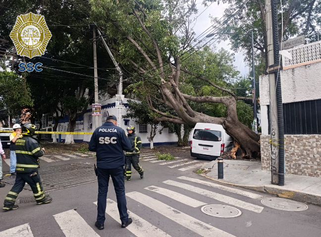 OVIALCDMX's tweet photo. 18:02 #PrecauciónVial | Servicios de emergencia laboran en Antonio Rodríguez y Centenario, col. San Simón Ticumac, @BJAlcaldia, para retirar árbol caído. Conduce con precaución. https://t.co/oQJU6AwZxd