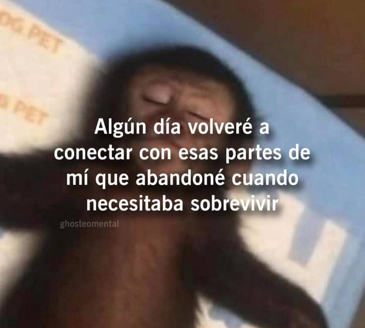 FraseSimple's tweet photo. https://t.co/qllBdisoEy