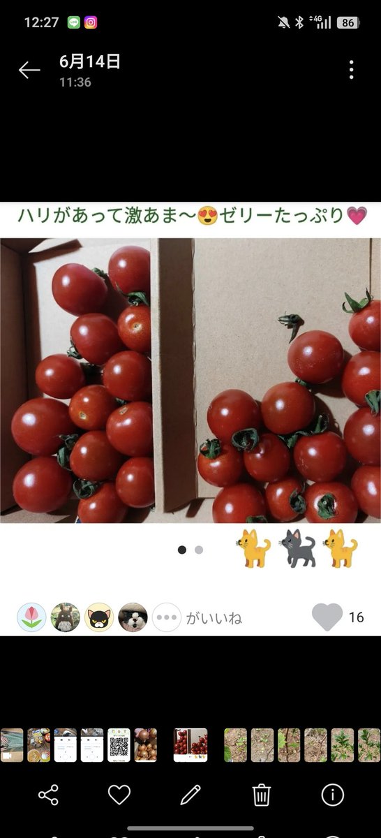 61Sh2's tweet photo. 👇️お買い物すれば水や肥料がもらえて成長スピードアップ🫶🏻
トマトや玉ねぎは無料❤️ https://t.co/vcgbOuBIHi