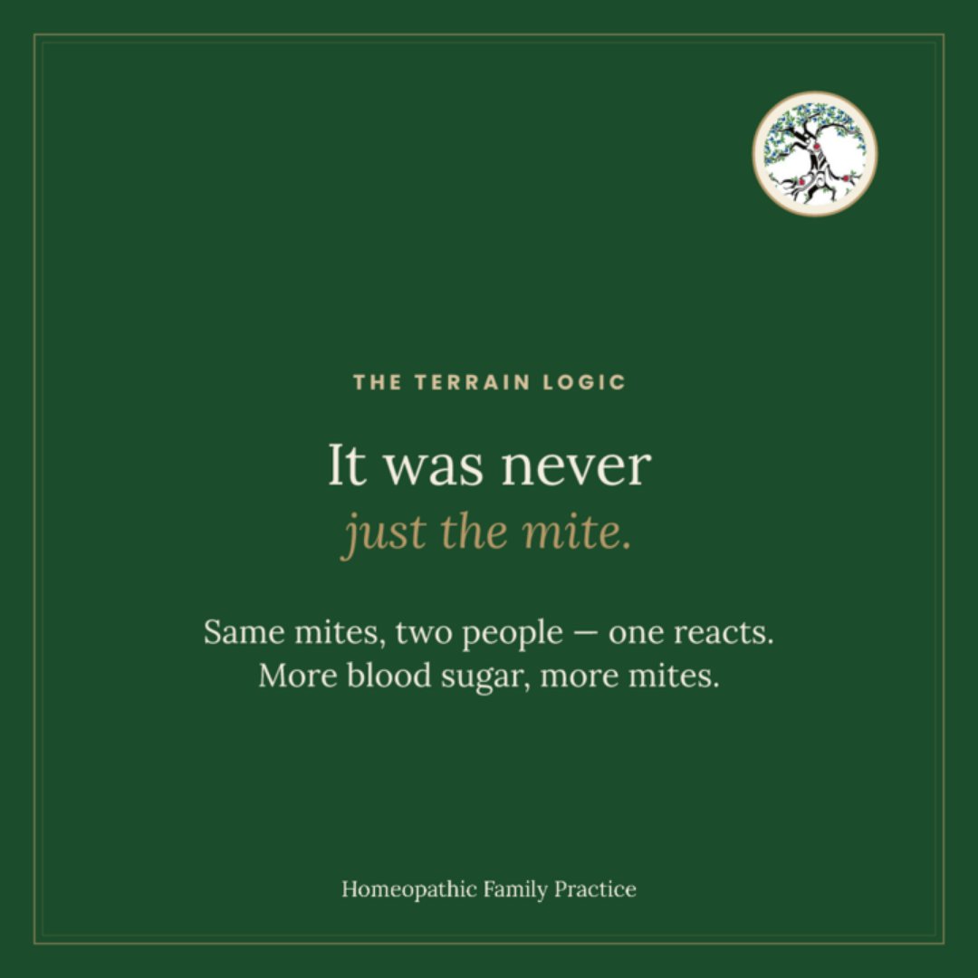 HannahDchm's tweet photo. Full article on https://t.co/9aGwCvhl4t
#Demodex #SkinHealth #Rosacea #Blepharitis #NaturalSkinCare #TerrainMedicine #Homeopathy #HFP #PaidEdition #Substack #HFPInsider #HomeopathicFamily #HomeopathywithHannah # H101 https://t.co/TREQyZ1bok