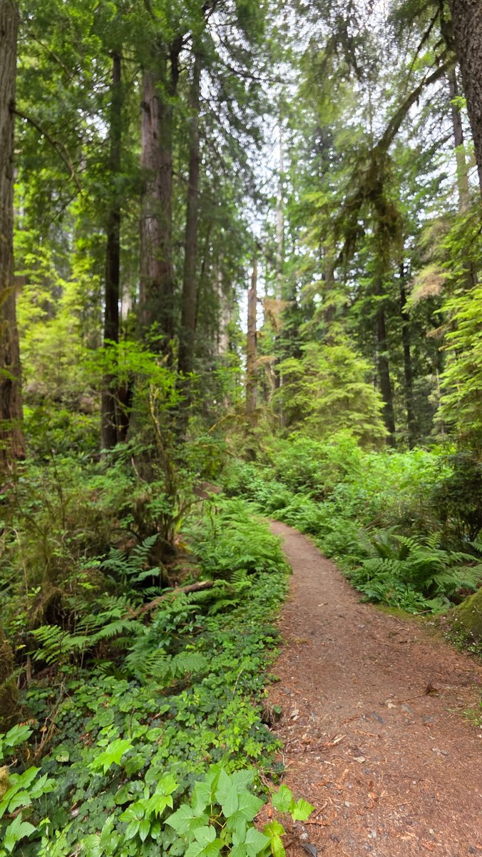NelsonAgencyInc's tweet photo. Let us help you create a path to life insurance. 💙
Deana Nelson, State Farm | Kingman, AZ
928-681-8000 | 1222 Gordon Dr.
https://t.co/XU1o6nOYhi
 #LifeInsurance #KingmanAZ https://t.co/kpkI4KHWh4