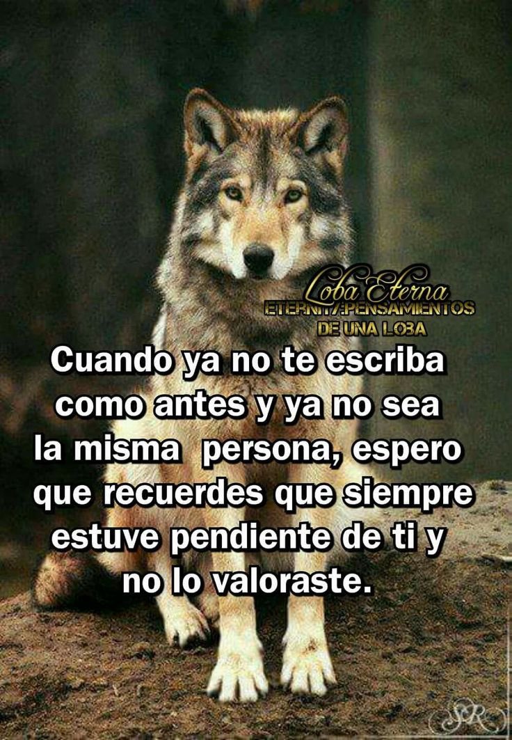 cirjuelas's tweet photo. @rinecito https://t.co/H2UtsOl5Vi