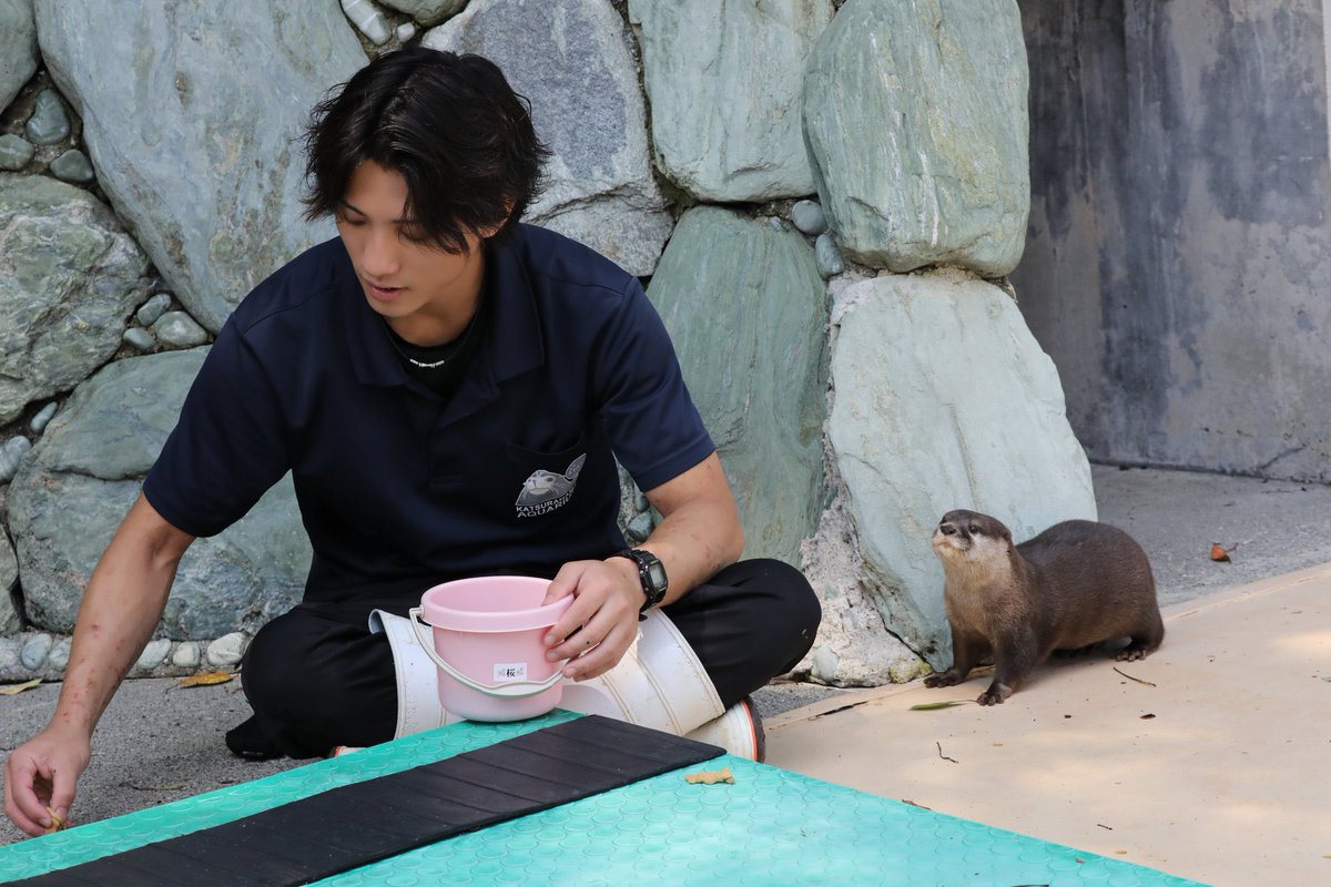 yukitichqn's tweet photo. 桂浜水族館の飼育員さんイケメン❣️❣️
推してるお客さん沢山いそう笑 https://t.co/dEDdnpvk5B