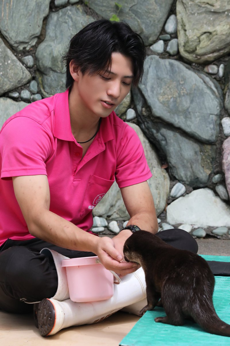 yukitichqn's tweet photo. 桂浜水族館の飼育員さんイケメン❣️❣️
推してるお客さん沢山いそう笑 https://t.co/dEDdnpvk5B