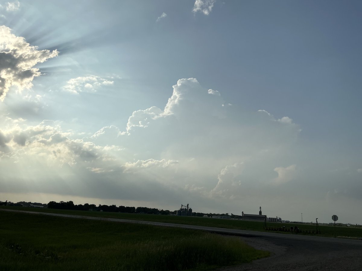 torchaser tweet picture