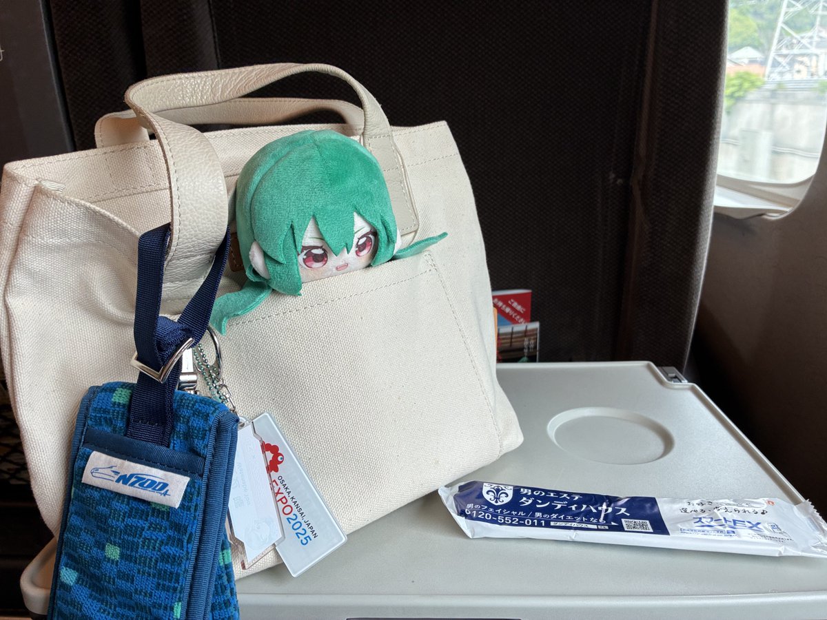 ShaAzusable's tweet photo. 出張で大阪へ行くわよ〜🚄
激かわ幽香ちゃんぬいぐるみがサイドポケットにジャストフィット🌂 https://t.co/EGlBgsmiAS