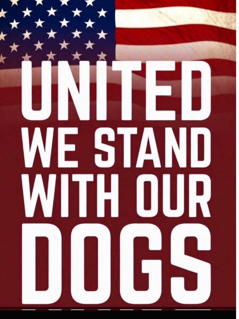 merrylynn06's tweet photo. @Maga4liberty GET ANOTHER DOG! https://t.co/EbUCdr8Ahr