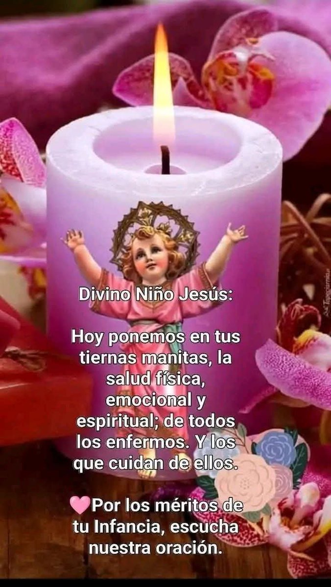 d_mhg2014's tweet photo. #OremosJuntos
🔹️Por todas las #peticiones de cada uno de ustedes.
Ofrezco en el #SantoRosario
Divino Niño Jesús, cuida mucho a los 👼Niños/as y Adolescentes👼 muy enfermos.👼🕊️🕯️🤍
Niño Jesús en tí confío
Niño Jesús en tí confío
Niño Jesús en tí confío. https://t.co/0YGBA7ZTNS