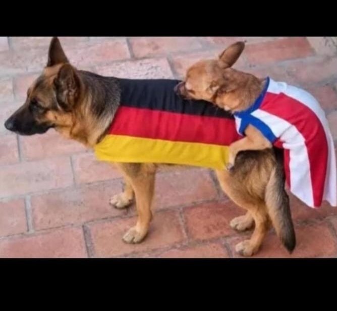 mauri_mart's tweet photo. @DFB_Team Rica cola https://t.co/LOG3AK7K1i