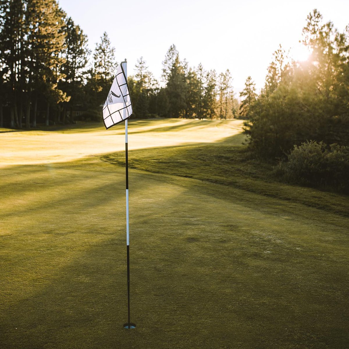 golfnow's tweet photo. Whitcomb design. Forest-lined holes. Central Oregon golf done right. 🚂 

⛳ 18 holes | Par 72 | 7,003 yards
📍 Lost Tracks Golf Club | Bend, OR

Book now: https://t.co/fb1ifVirju
.
.
.
#golfnow #goplay https://t.co/ZrrQHmBVzN
