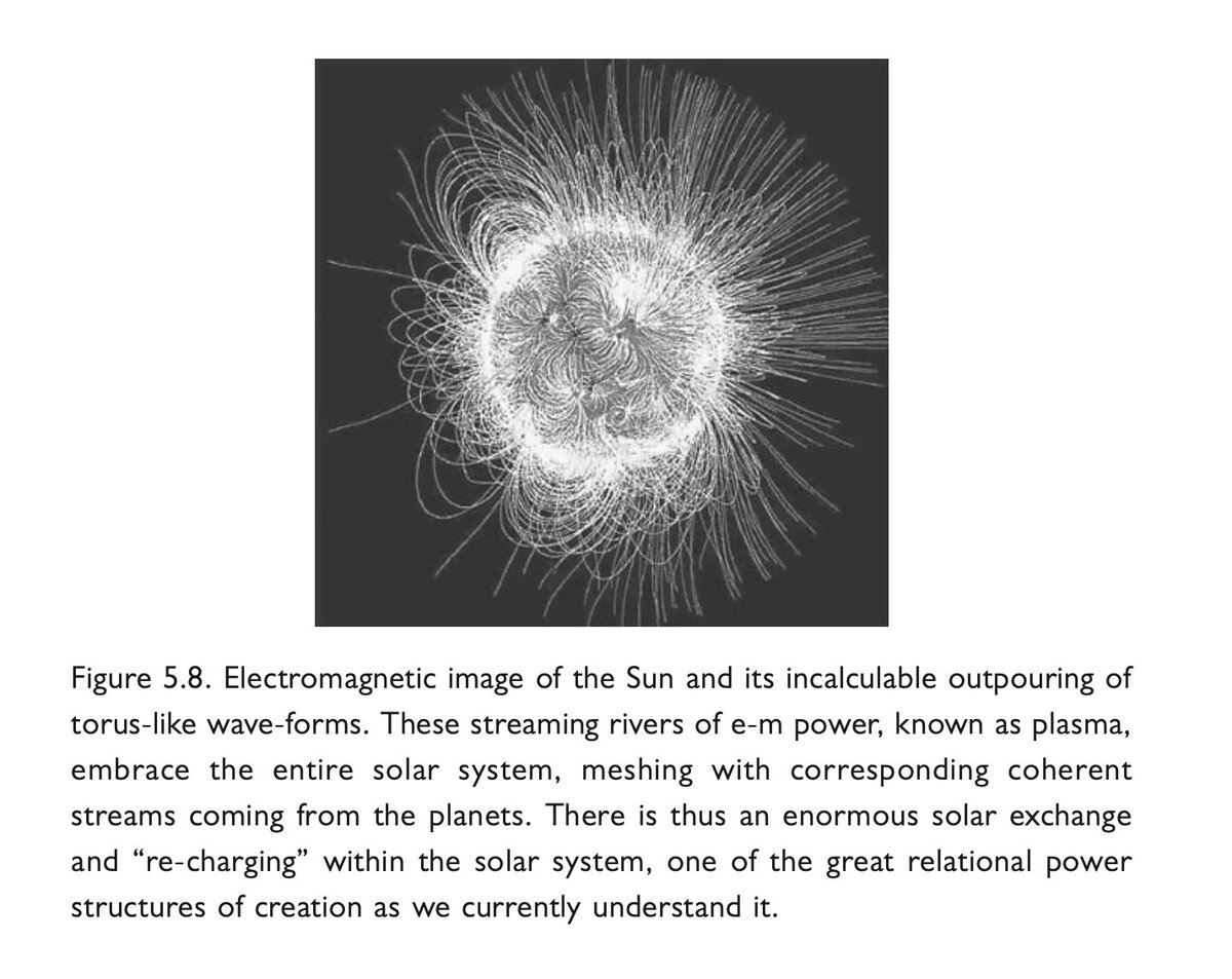 mythturn's tweet photo. There is no meaningful way of measuring or quantifying the sun's imperceptible electrical discharges. The heart creates the same toroidal wave-forms only on a much smaller scale. https://t.co/GXRZGKxRpR