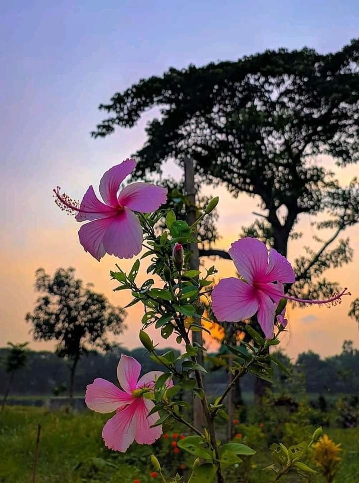 Cp__Sayba's tweet photo. Gd morning guys ☕🥰 https://t.co/jSzzkvGtf1
