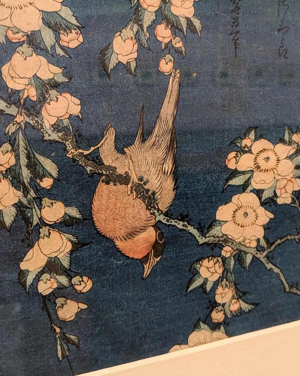 ←歌川広重 葛飾北斎→ どちらも「桜と鷽（うそ）」をテーマにした作品