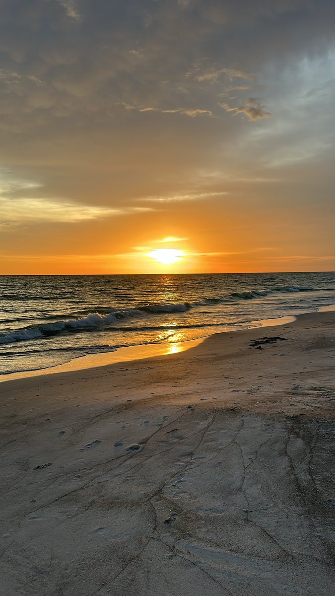 MileHiSooner's tweet photo. Nothing beats a beautiful Sarasota sunset. https://t.co/8j572txlmL