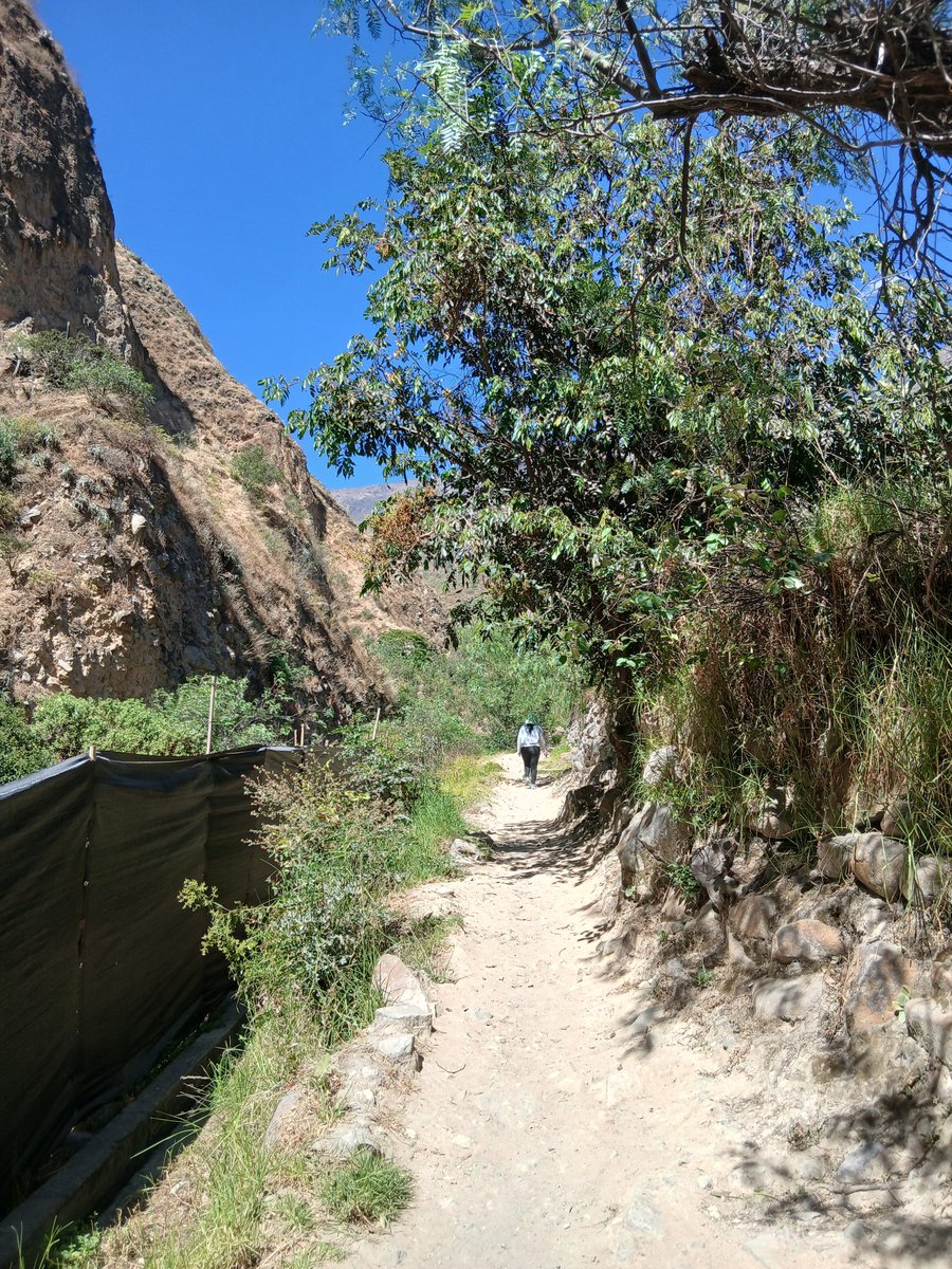 Marsantin1's tweet photo. Visitamos San Jerónimo de Surco, en la provincia de Huarochirí (Lima). El trekking ida y vuelta hasta la catarata 'Huanano' demora 1 hora y media. En el camino venden paltas, chirimoyas, quesos, refrescos y hasta cerveza. https://t.co/zWgKijfsvI