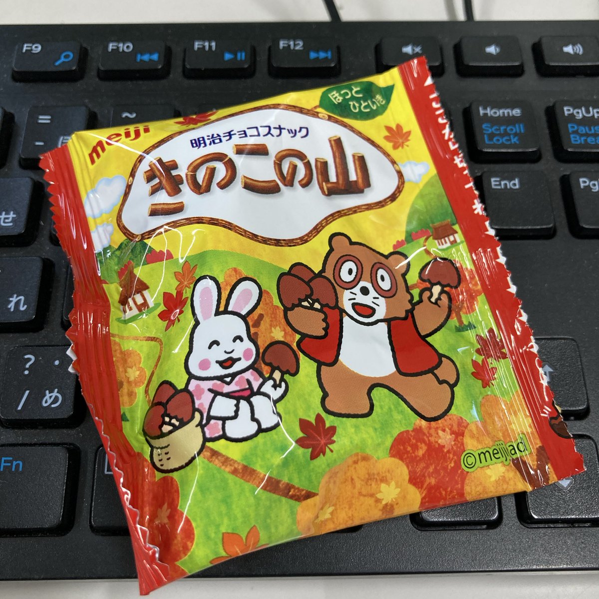 きのこ様用です•*¨*•.¸¸♬︎ きのこの山(ﾟ∀ﾟﾉﾉ