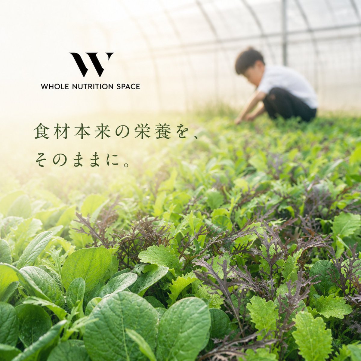WNSo9o4's tweet photo. 食材本来の栄養を、そのままに。

私たちが大切にしているのは、
素材そのものが持つ力を、できるだけ自然なかたちで届けること。

何かを足すことよりも、
素材本来の価値を活かすことを大切にしています。
毎日の食事に寄り添い、
からだを想う気持ちが、
未来の自分へ。

そして、子どもたちへ。 https://t.co/rP1s9oGXVB