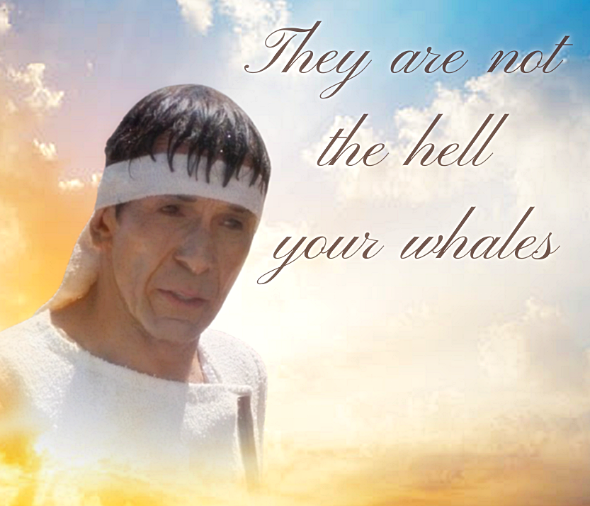 schumisnoopy's tweet photo. made the sequel with spock https://t.co/vITgTw3h49