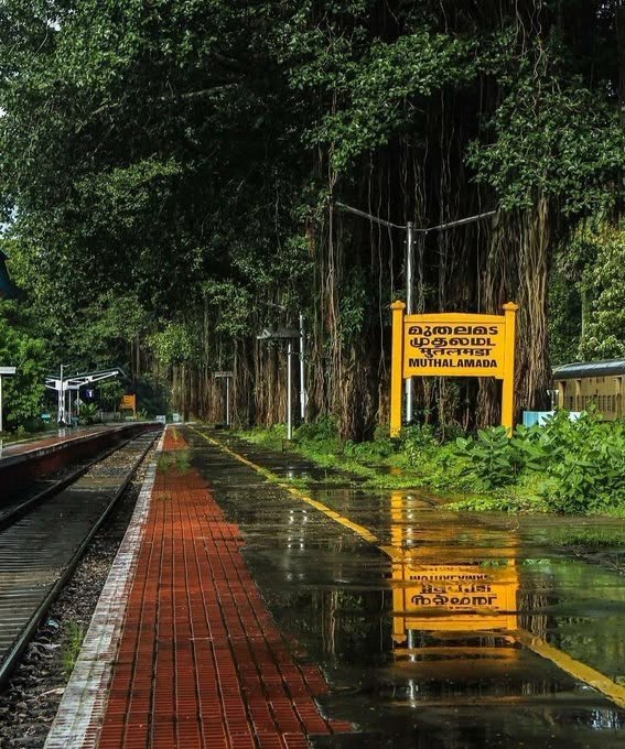 DO_N0T_JUDGE_ME's tweet photo. No, this isn't an anime scene or a fairytale fantasy. This is Muthalamada Railway Station in #Kerala , India 🌲🌧️
Imagine waiting for your train under a canopy of ancient banyan trees! #IncredibleIndia #realindia #Monsoon #ALLPAR #FIFAworldcup https://t.co/5evAsAR39G