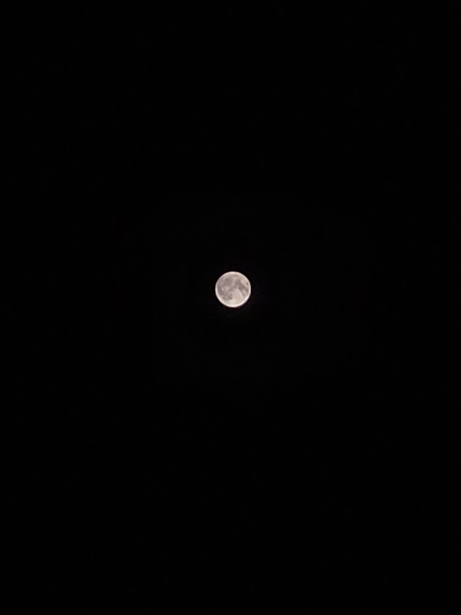 AriCris98's tweet photo. The weather is so lovely and cool tonight, I could just sit outside and watch the stars and the moon all night long. Hope you're all resting well, Stays. 💫🐺 #bangchan #방찬 #straykids #stay https://t.co/hxBfOpAuqs