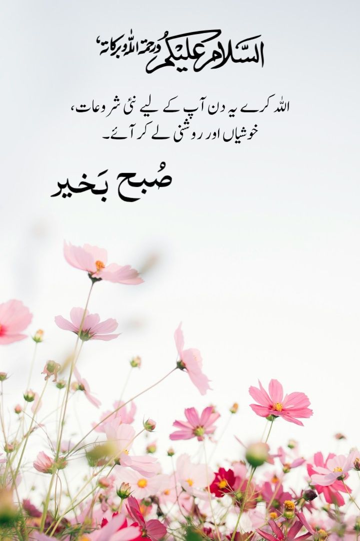 frosted_mind2's tweet photo. زندگی کی سب سے بڑی حقیقت یہی ہے کہ ہم سب ایک دوسرے کے لئے عارضی ہیں۔۔

صَـبَـٍّآٍْآٍٍْْآٍٍٍْْْآٍٍْْآٍْح ْآٍْآٍٍْْآٍٍٍْْْآٍٍْْآٍْلَـٍّخـير. ❥◉❀
*☕⃝🇬✪✪ᴅ 🌚⃝🇲✪ʀɴɪɴɢ* 🩵
*☕⃝🇭𝘈𝘝𝘌 🄰 ☕⃝🇳Iᑕᗴ ☕⃝🇩𝐀𝐘* 🩵
#tdr_now
#اردوقومی_زبان https://t.co/Ew5dxSp6vT