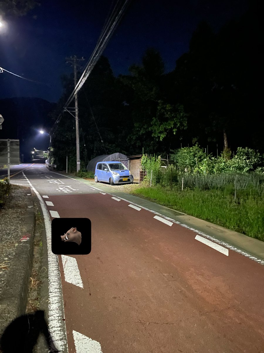 rei1025_cl1's tweet photo. えー
鹿ニキ▶︎ウリ坊4キルニキになりました
6.30 ウリ坊一家消滅事件
とりま治しますわ https://t.co/hNgRzyQGfH