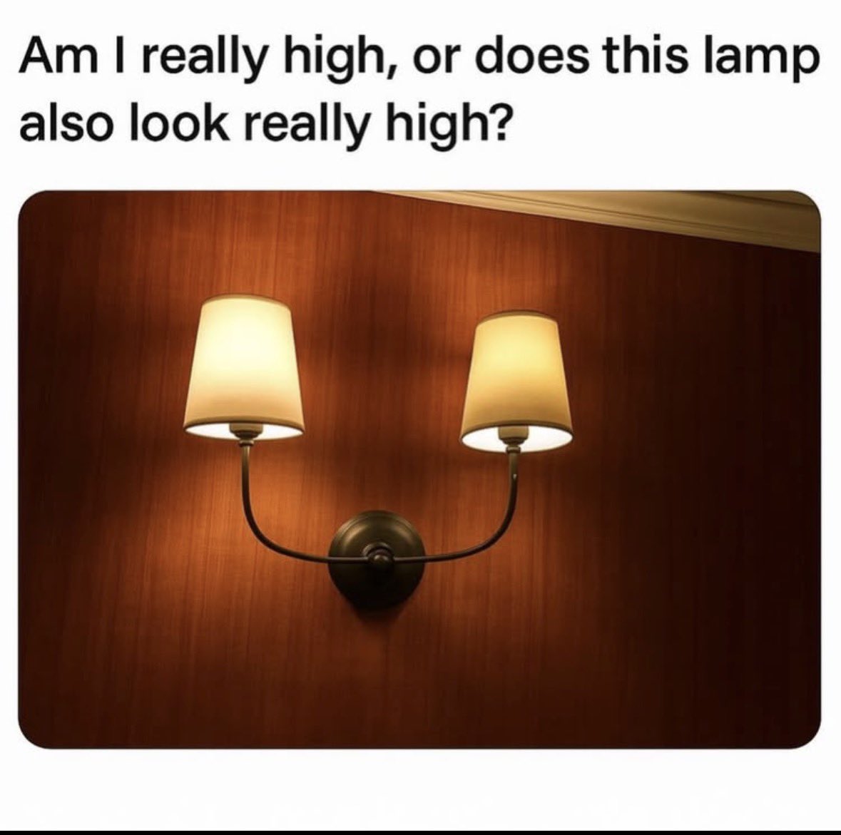 SarahSevans2000's tweet photo. I am in fact not high lol https://t.co/IYmi9eGJuR