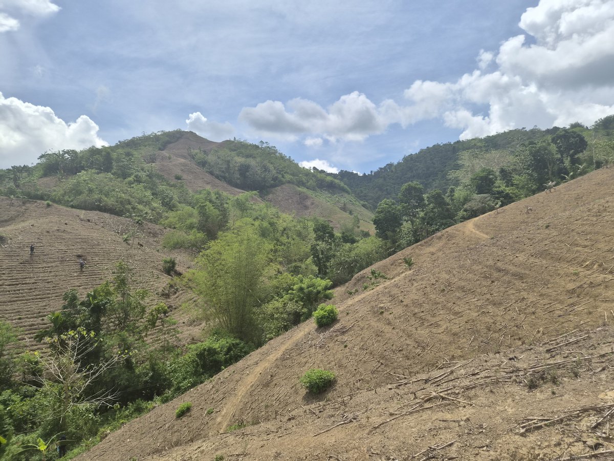 andreamplacer's tweet photo. sukat bukid sa capiz https://t.co/gi4Mmsr4hl