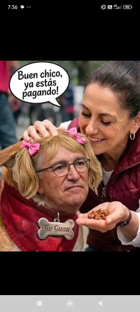 HISTORIA MEMORIA VERGÜENZA tweet media