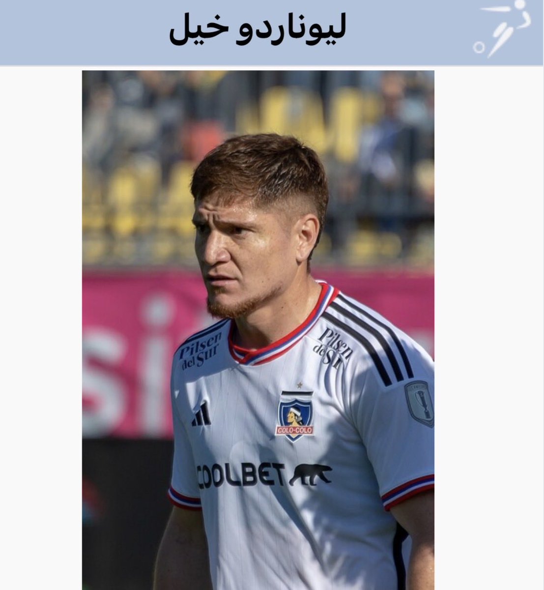 zezo915's tweet photo. @Mti115 يأخي اول ماشفت شكله قبل اقراء اسمه تذكرت لاعبنا ليوناردو خيل نسسخته ! احسهم اخوان https://t.co/XkANSkM9rv