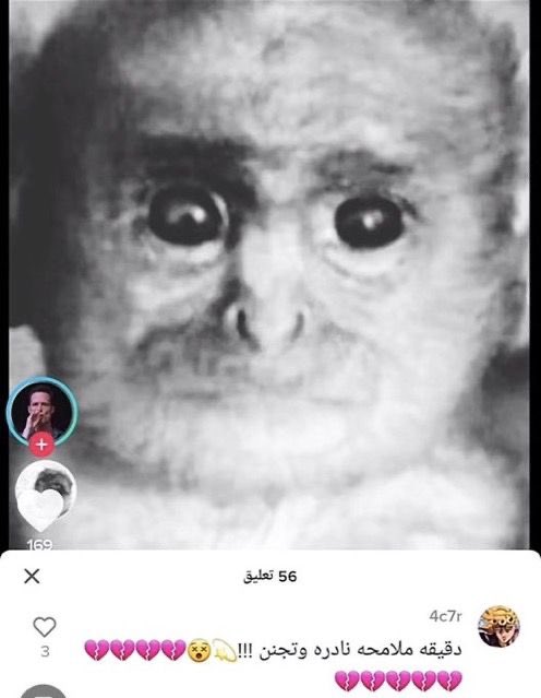 jo_Q8_'s tweet photo. شلون أسلك لحقين الستريك https://t.co/dpP68NC9pN