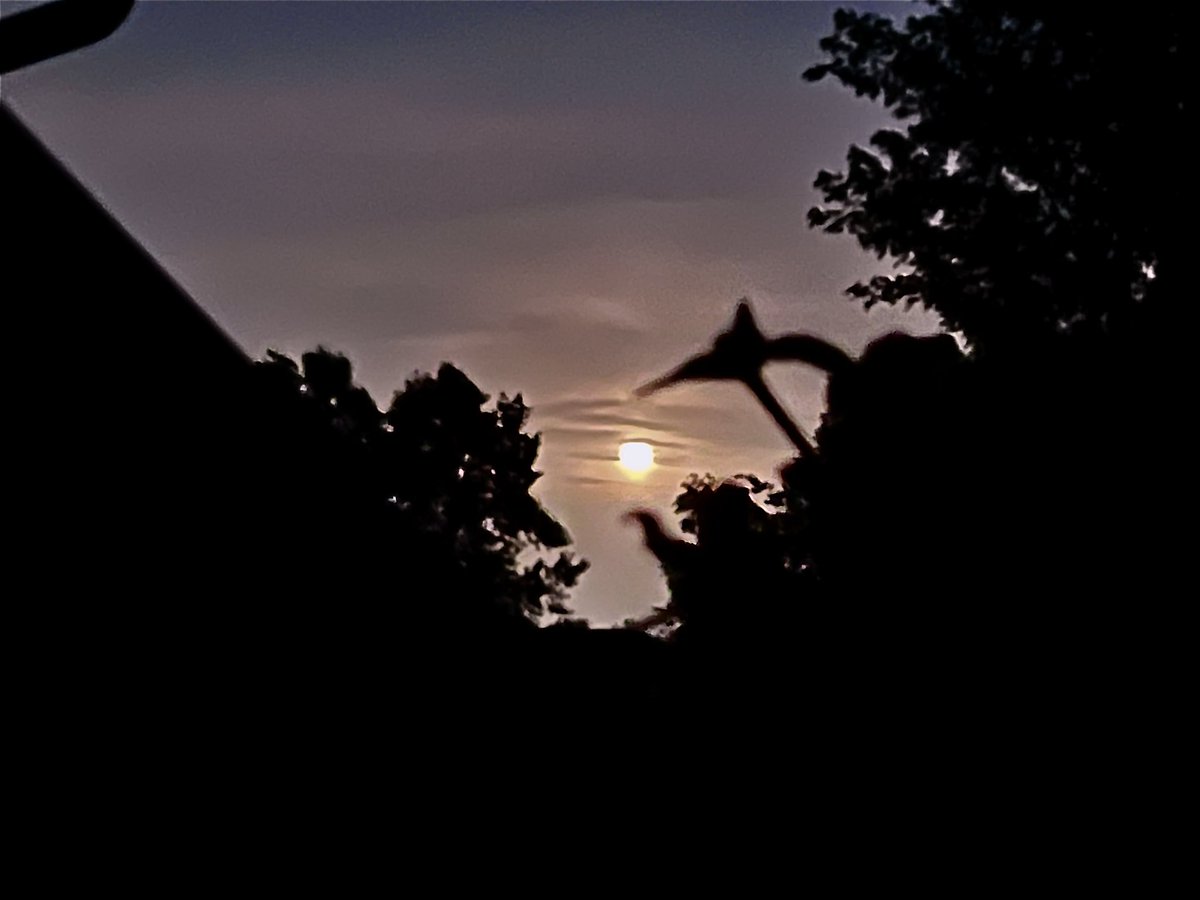 Jaker627's tweet photo. Look what God did tonight. 

Only a strawberry moon, the lowest hanging moon in the northern hemisphere. 

Won’t happen again for another 20 years. https://t.co/R3vXYddC1Y