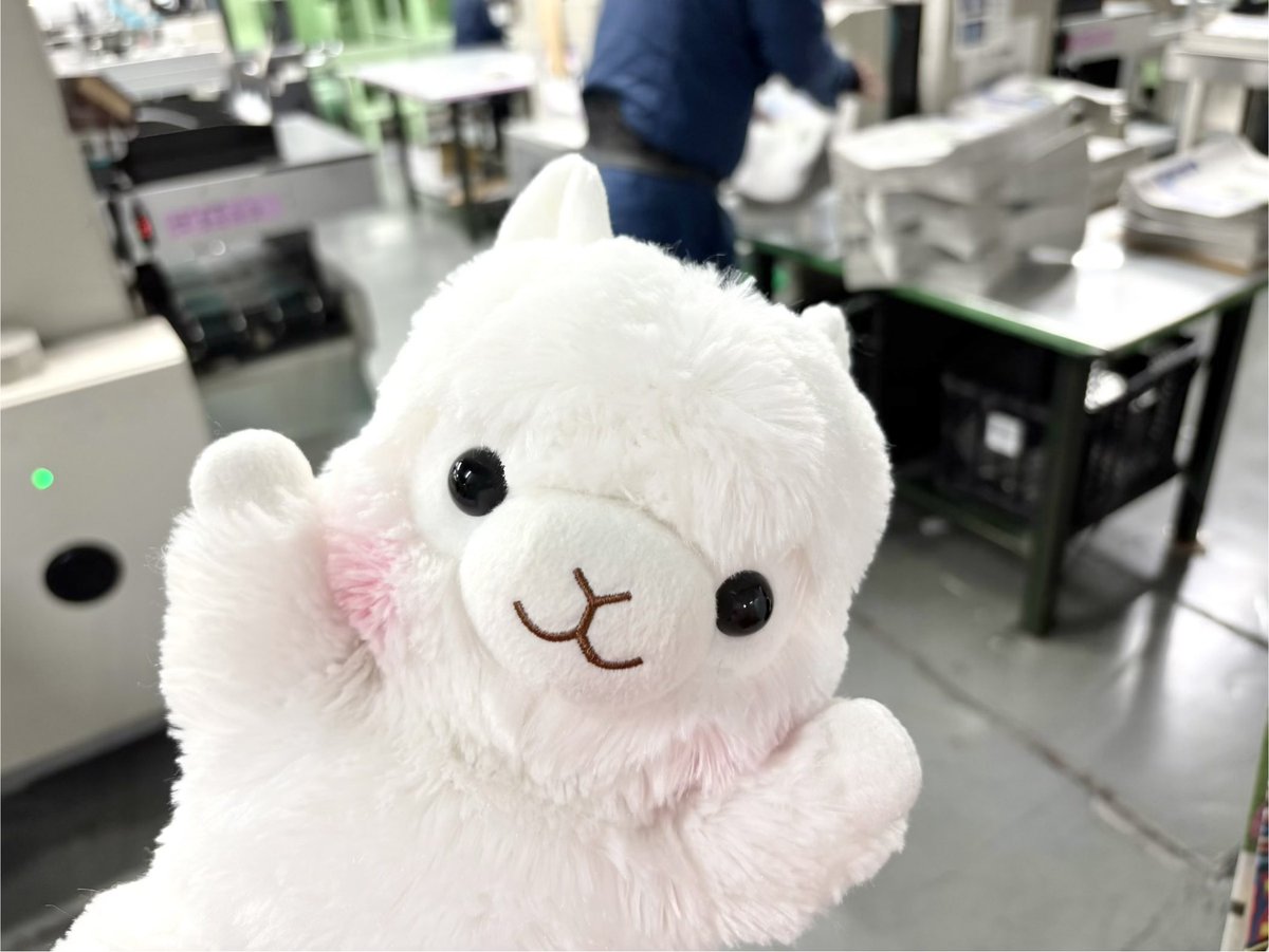 アルパカっソ アルパカッソ