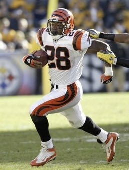kidraydc's tweet photo. @bengaljims_BTR @Bengals it’s time to take the Leap!

#bengals https://t.co/bOve3H5BCH