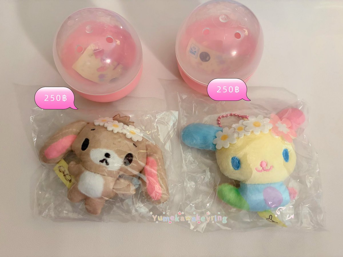 gachakeyring's tweet photo. Usahana

⸝⋆⸝⋆ems45฿
#ตลาดนัดsanrio #ตลาดนัดซานริโอ้ #ตลาดนัดซานริโอ #กาชาปอง #ตลาดนัดกาชาปอง https://t.co/G7osYAftJB