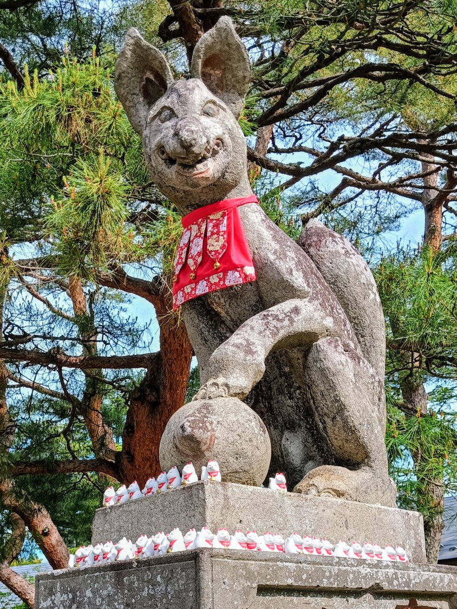 稲荷狐見習いとして稲荷神社⛩️様で御奉仕させていただいたり、稲荷