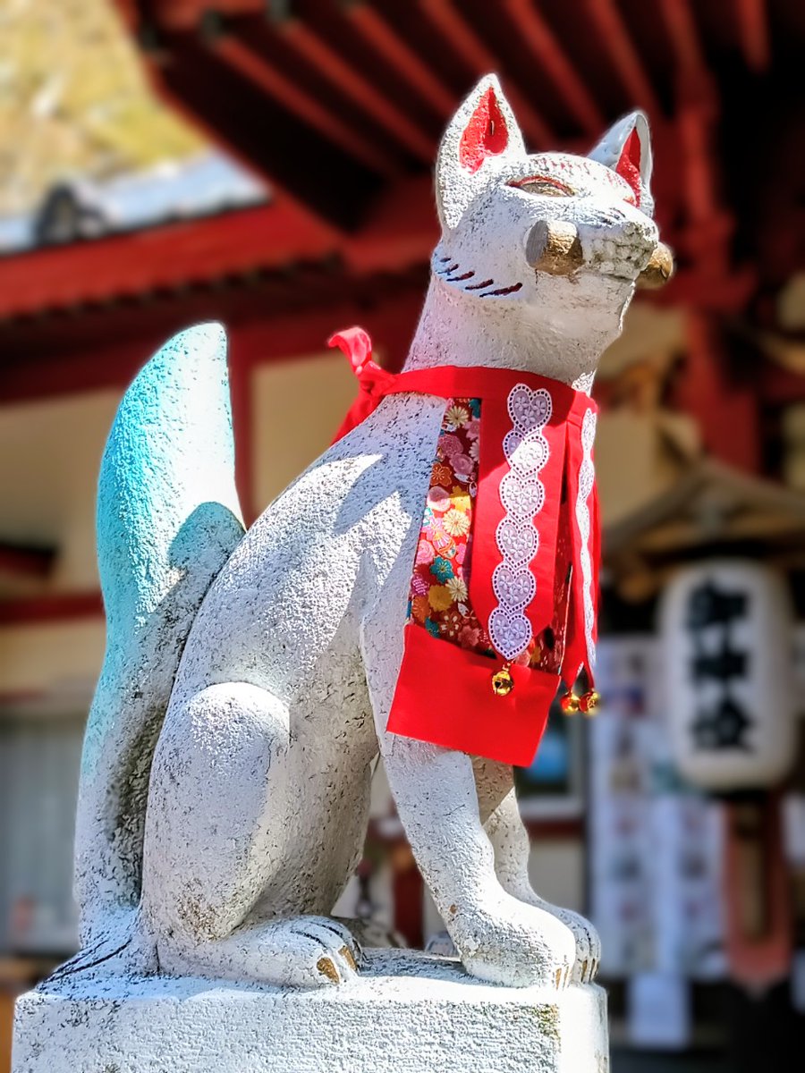 稲荷狐見習いとして稲荷神社⛩️様で御奉仕させていただいたり、稲荷