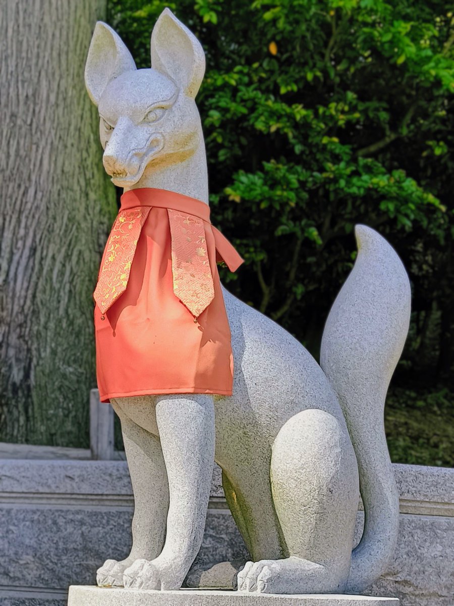 稲荷狐見習いとして稲荷神社⛩️様で御奉仕させていただいたり、稲荷