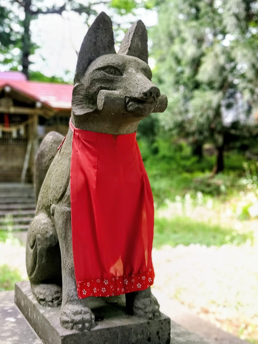 稲荷狐見習いとして稲荷神社⛩️様で御奉仕させていただいたり、稲荷