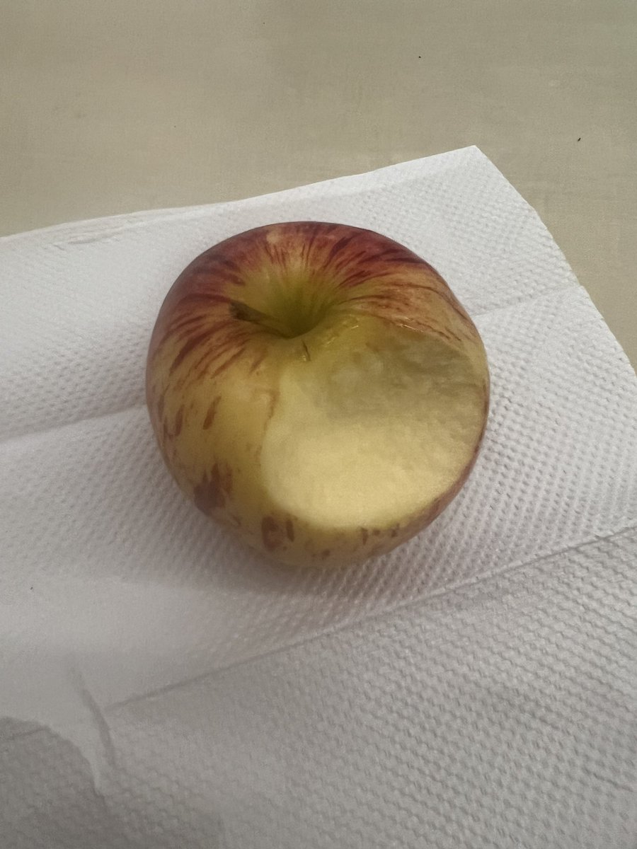 homoefrotic's tweet photo. apple review: 0/10 way too soft and a little mushy just another reminder that i’ll never be enough for anyone to love genuinely, this apple is what i deserve #appletwt https://t.co/Zk7cAn0yNN