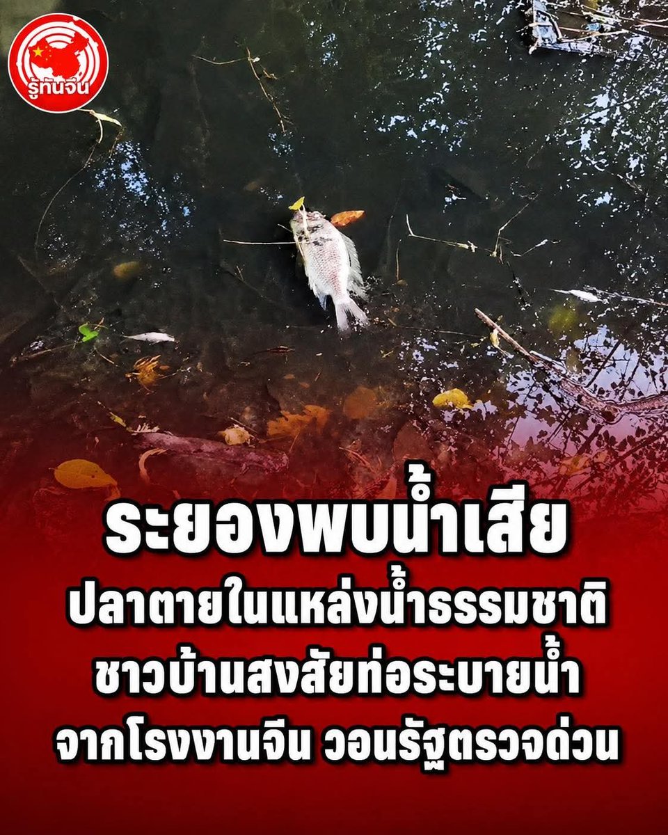 paichewee65779's tweet photo. ส่วยเป็นเหตุ

ตรวจแล้วสะอาดทุกโรงค่ะ

โรงงาน❌️
โรงพัก 💙 https://t.co/oF5DxaKtuq