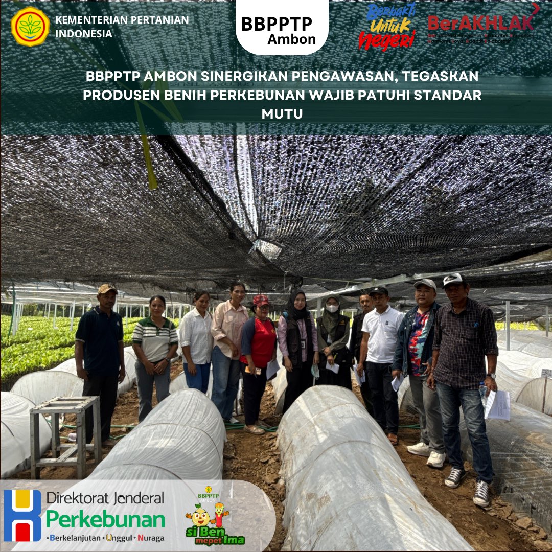 BbpptpAmbon's tweet photo. Peringatan tegas dari Bapak Menteri Pertanian untuk seluruh produsen benih perkebunan: Jangan main-main dengan kualitas benih! Benih adalah fondasi produktivitas nasional. Pelanggar akan diproses hukum!
selengkapnya : https://t.co/YVsLbXkKnJ

@kementan @ditjenbun https://t.co/uXyHHAJky7