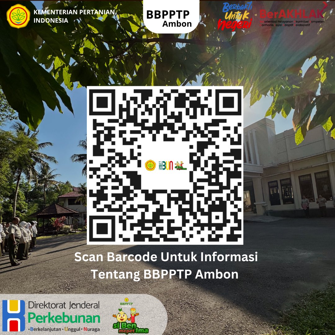 BbpptpAmbon's tweet photo. Peringatan tegas dari Bapak Menteri Pertanian untuk seluruh produsen benih perkebunan: Jangan main-main dengan kualitas benih! Benih adalah fondasi produktivitas nasional. Pelanggar akan diproses hukum!
selengkapnya : https://t.co/YVsLbXkKnJ

@kementan @ditjenbun https://t.co/uXyHHAJky7