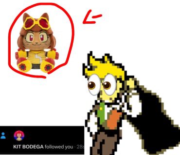 _Flower_Man_'s tweet photo. Hey guys!
who is this beautiful girl that followed me? https://t.co/YH18fHmEEy