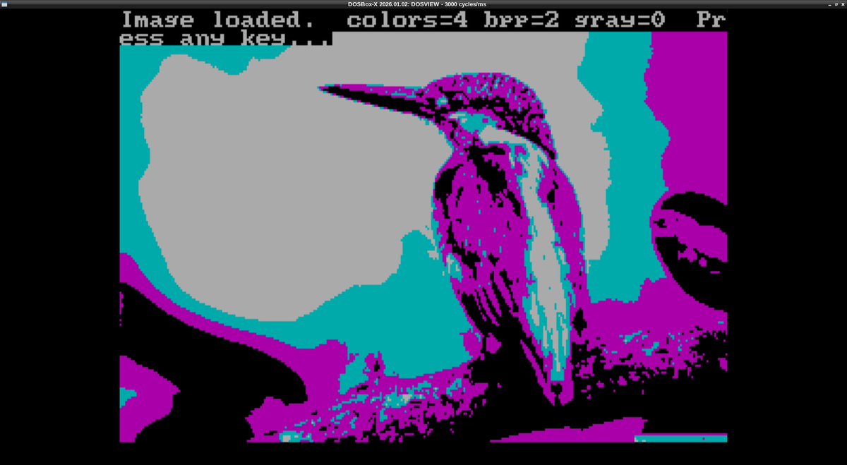 Traveler2000AD's tweet photo. original downsampled to 320x200, then without dithering and then with dithering and another standard CGA palette https://t.co/cRxHSJZI2Q